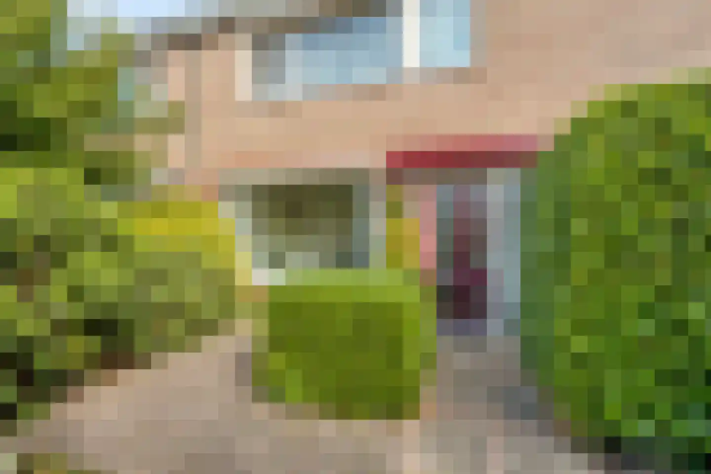 Van Oldenbarneveldtlaan 18 Zevenaar thumbnail 8