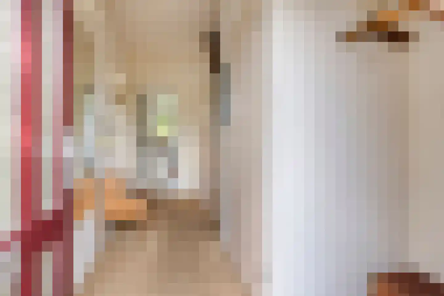 Van Oldenbarneveldtlaan 18 Zevenaar thumbnail 9