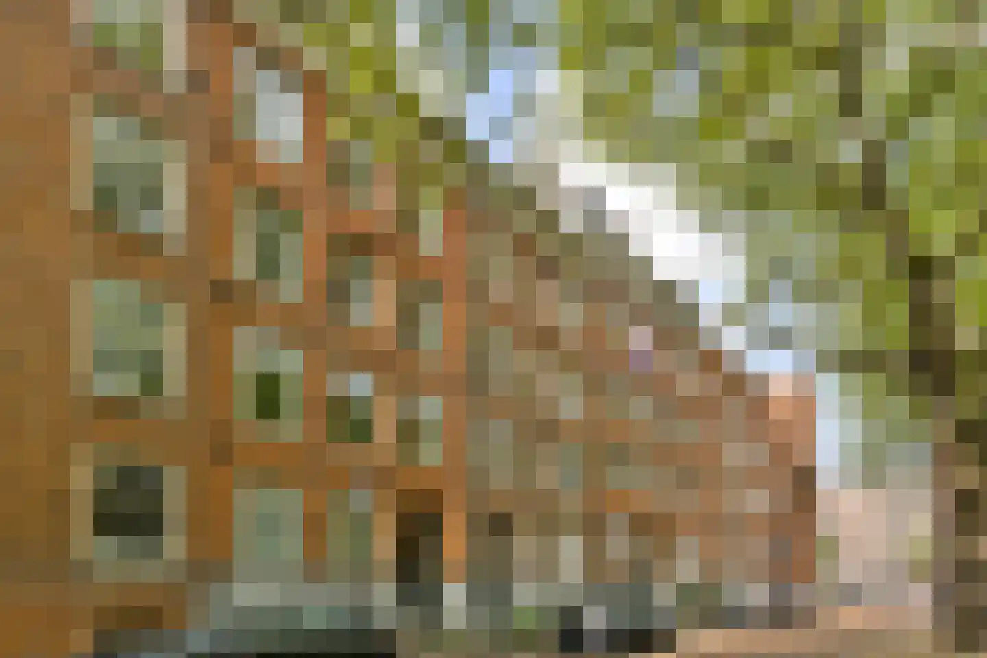 Van Oldenbarneveldtplein 13 1 Amsterdam