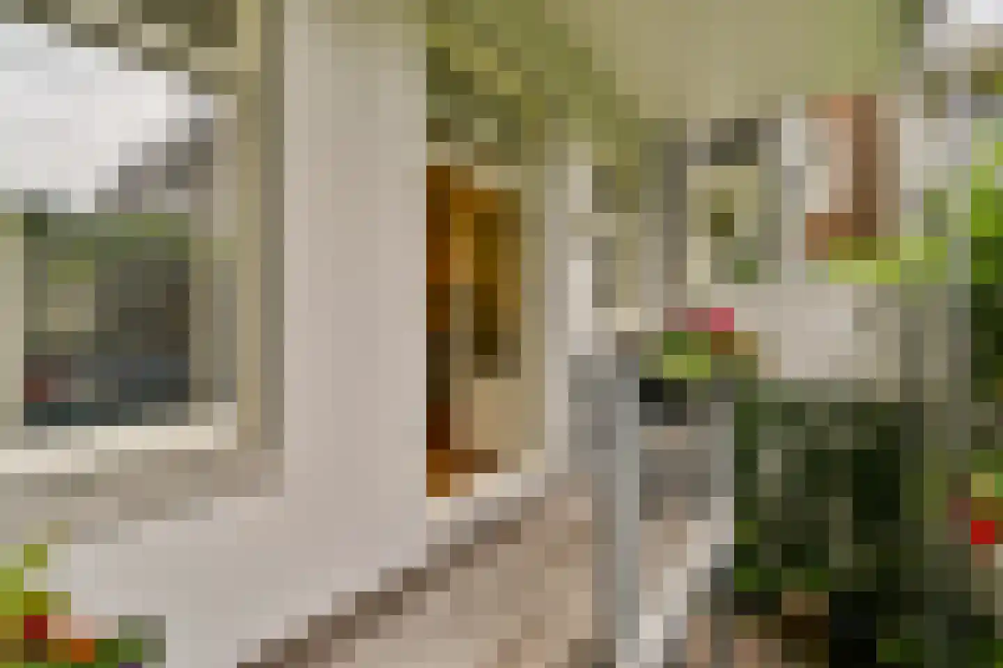 Van Oldenbarneveldtplein 13 1 Amsterdam thumbnail 11