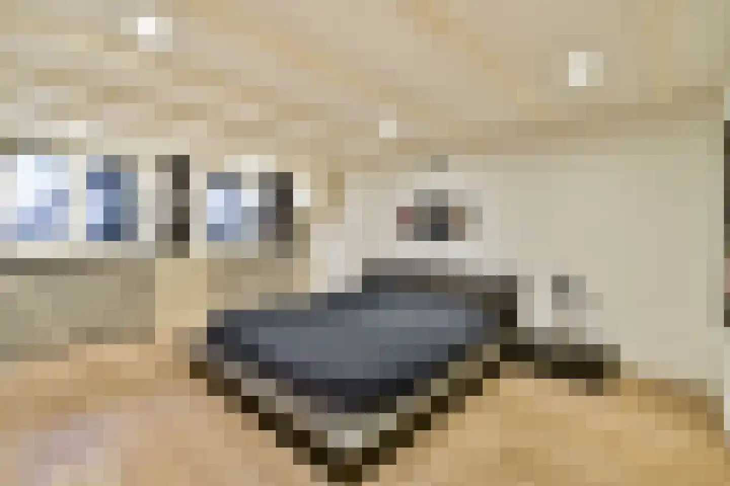 Van Oldenbarneveldtplein 13 1 Amsterdam thumbnail 17