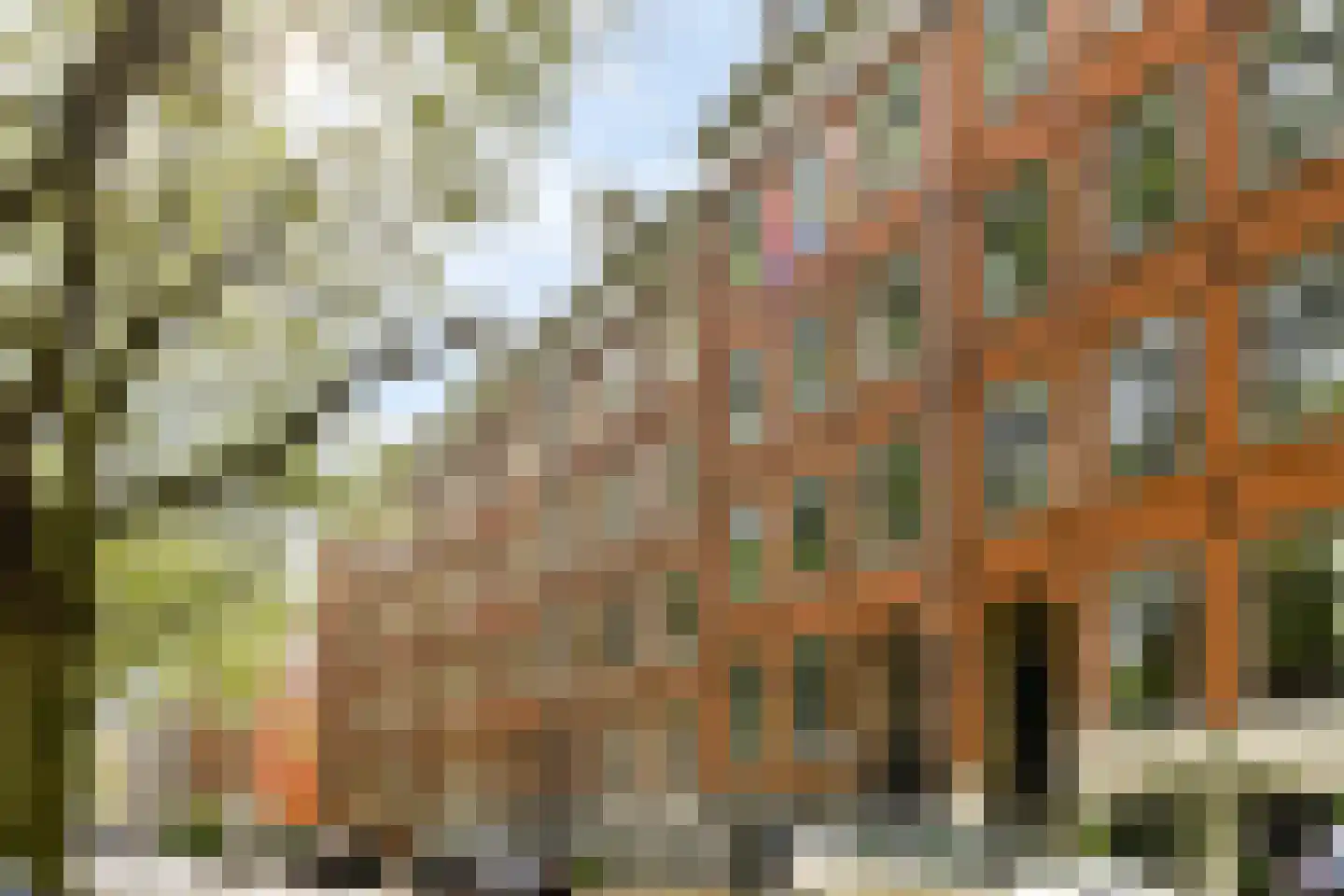 Van Oldenbarneveldtplein 13 1 Amsterdam thumbnail 26