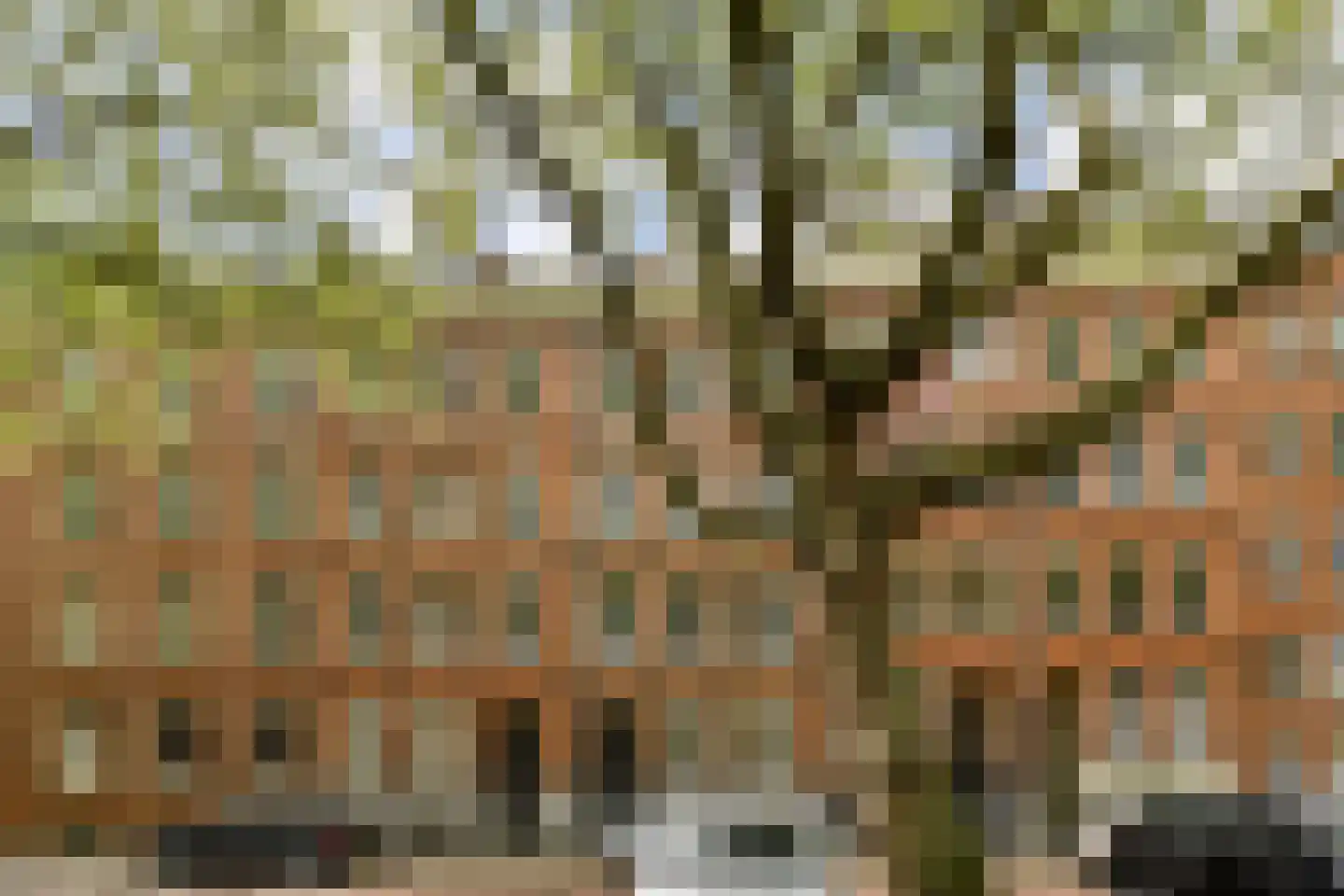 Van Oldenbarneveldtplein 13 1 Amsterdam thumbnail 27
