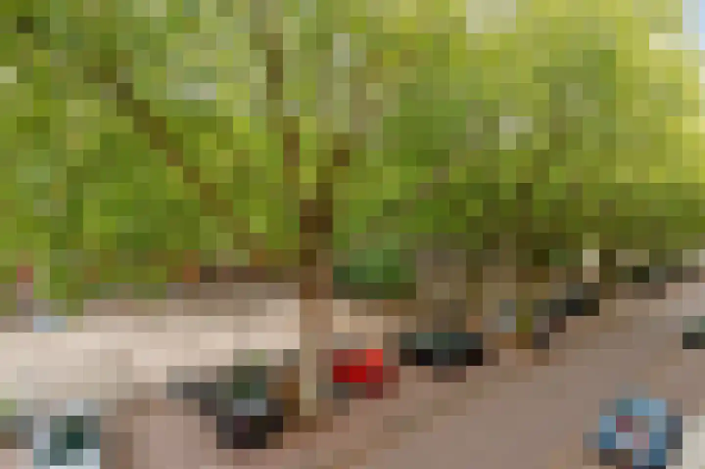 Van Oldenbarneveldtplein 21 A Amsterdam thumbnail 13