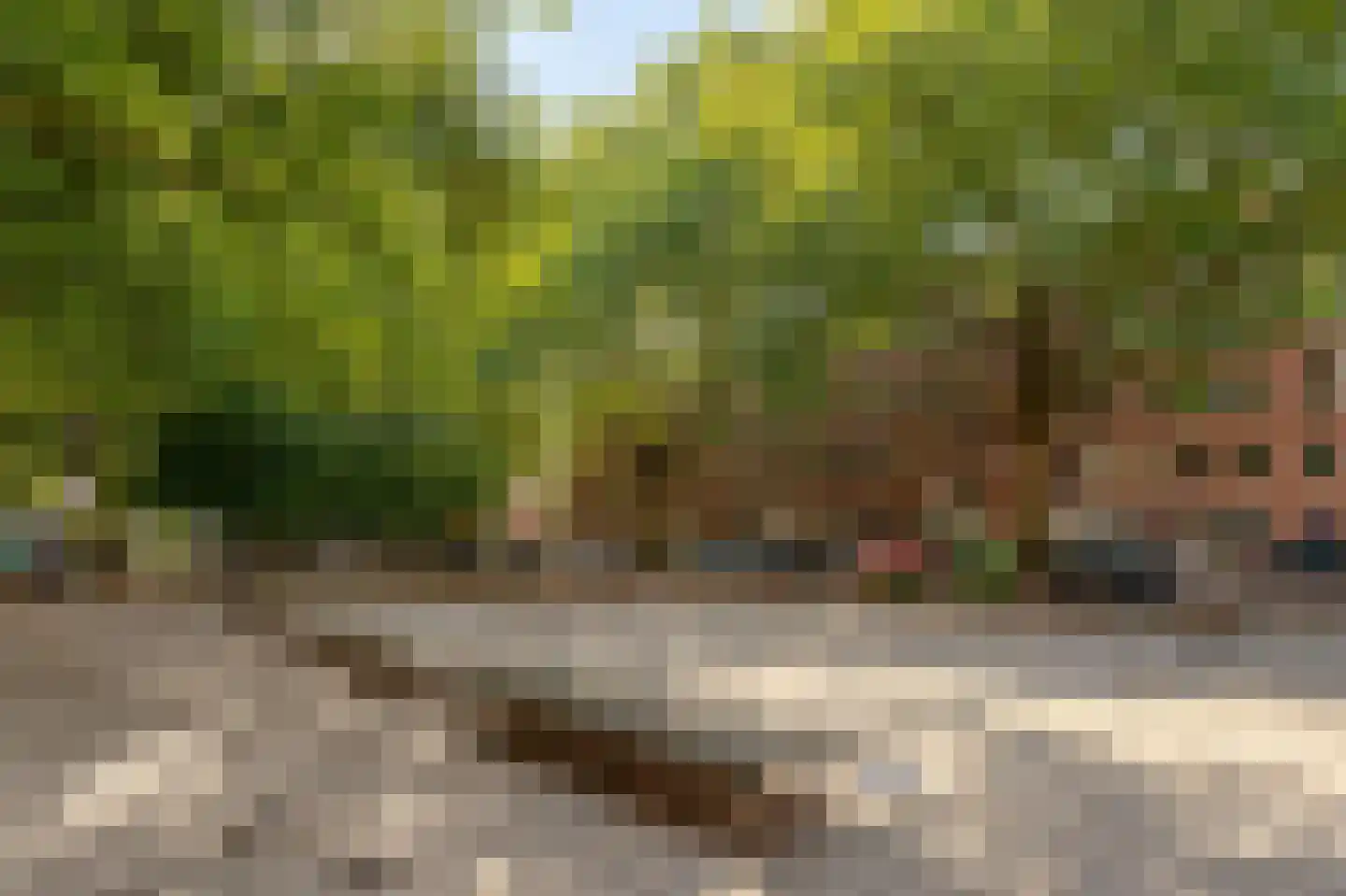 Van Oldenbarneveldtplein 21 A Amsterdam thumbnail 23