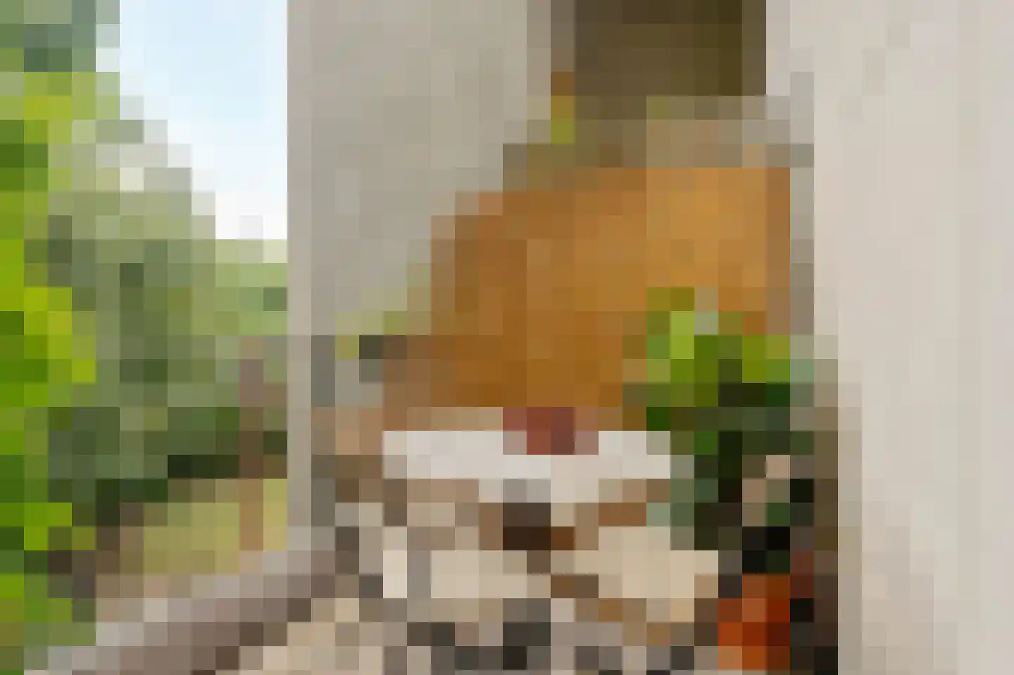 Van Oldenbarneveldtplein 21 A Amsterdam thumbnail 4