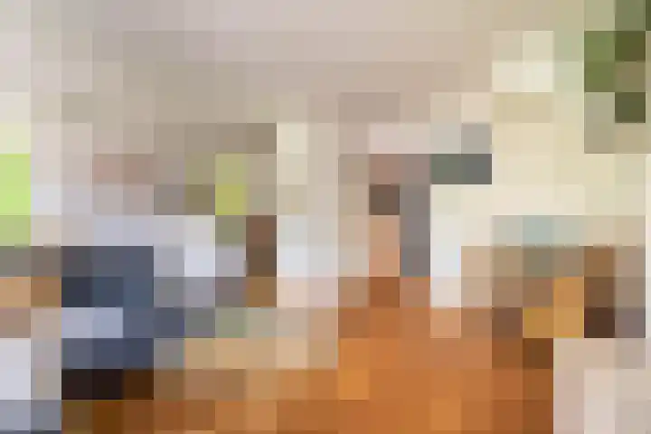 Van Oldenbarneveldtplein 59 Amsterdam thumbnail 12