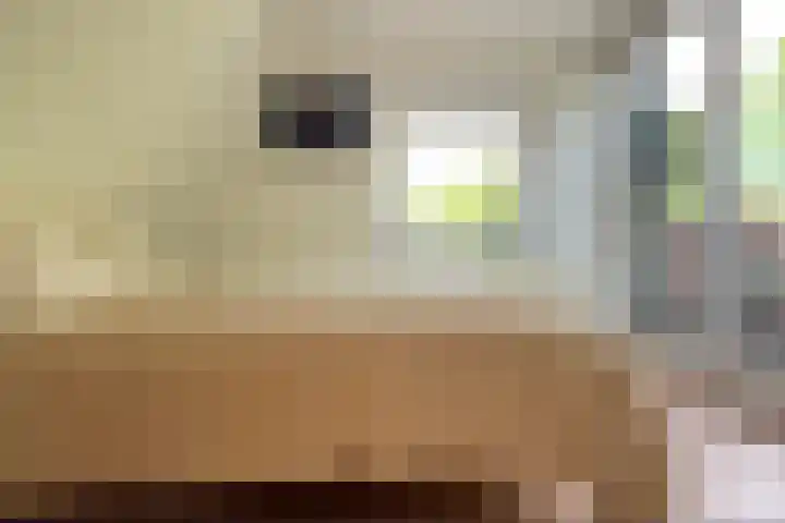 Van Oldenbarneveldtplein 59 Amsterdam thumbnail 14