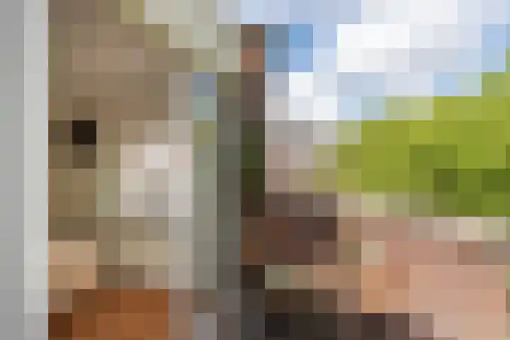 Van Oldenbarneveldtplein 59 Amsterdam thumbnail 15