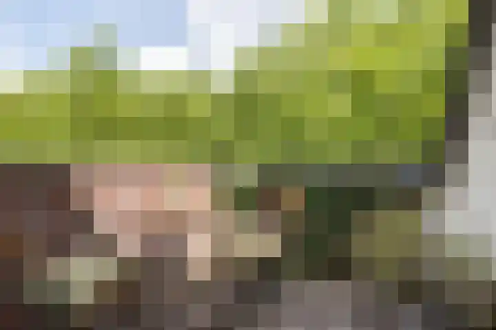 Van Oldenbarneveldtplein 59 Amsterdam thumbnail 17