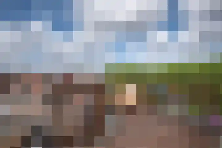 Van Oldenbarneveldtplein 59 Amsterdam thumbnail 23