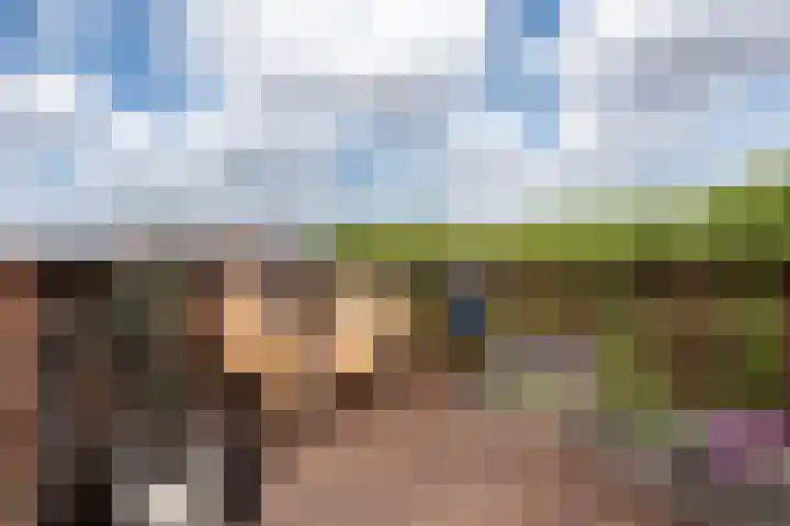 Van Oldenbarneveldtplein 59 Amsterdam thumbnail 24