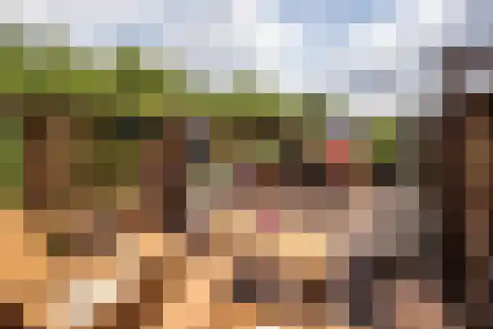Van Oldenbarneveldtplein 59 Amsterdam thumbnail 25