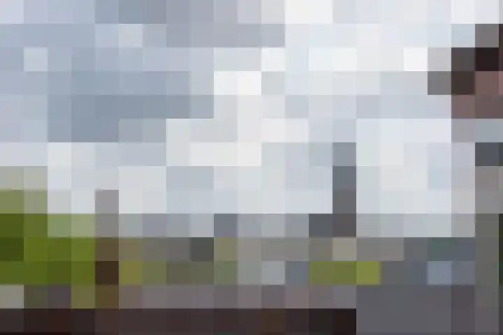 Van Oldenbarneveldtplein 59 Amsterdam thumbnail 26