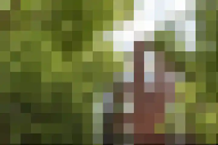 Van Oldenbarneveldtplein 59 Amsterdam thumbnail 27