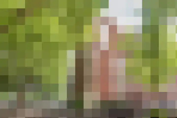 Van Oldenbarneveldtplein 59 Amsterdam thumbnail 30