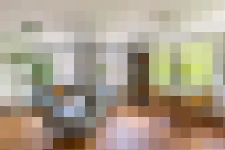 Van Oldenbarneveldtplein 59 Amsterdam thumbnail 6