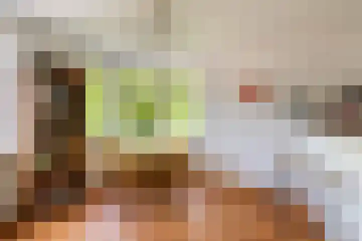 Van Oldenbarneveldtplein 59 Amsterdam thumbnail 7
