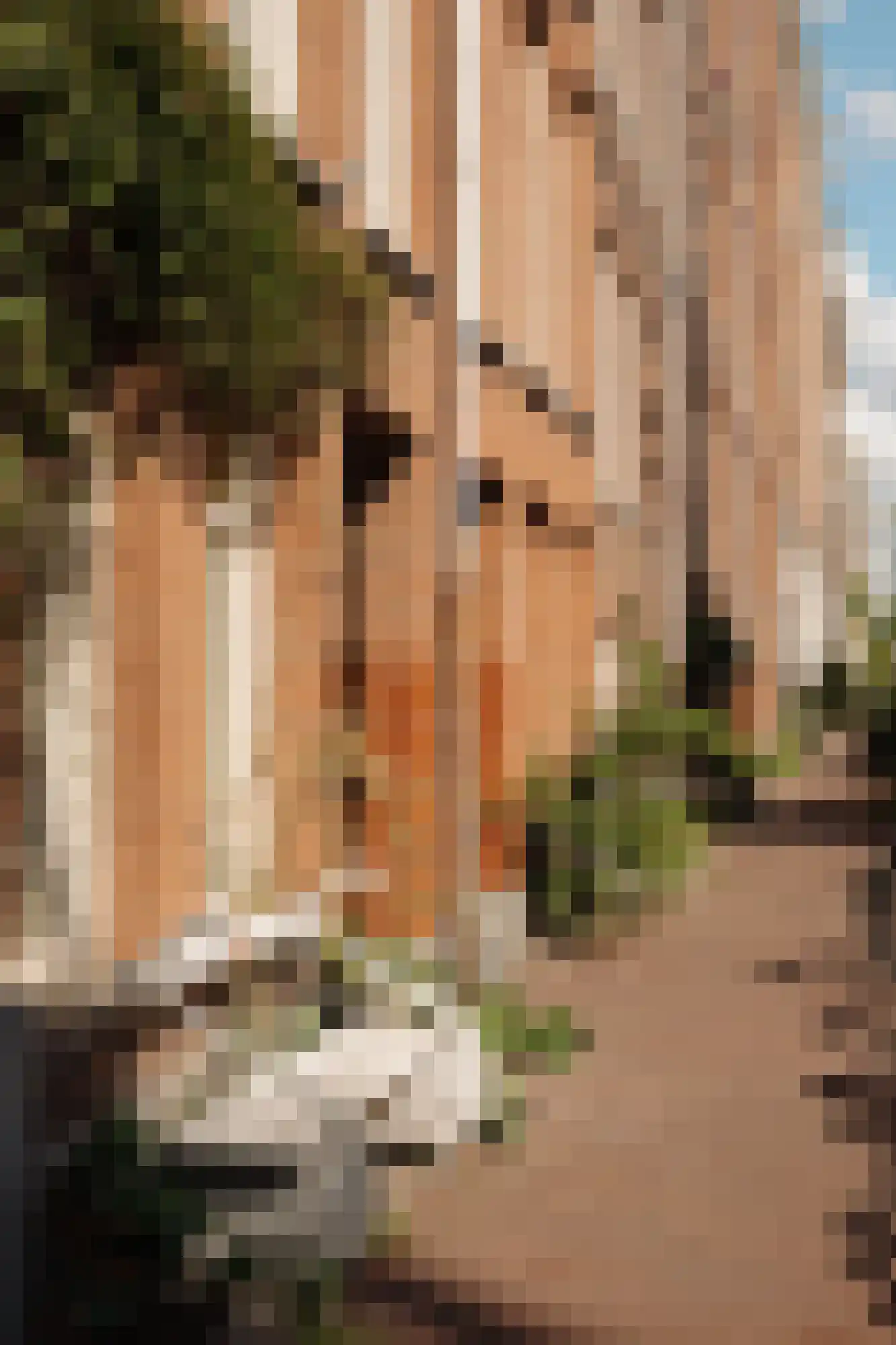 Van Oldenbarneveldtstraat 104 3 Amsterdam thumbnail 19