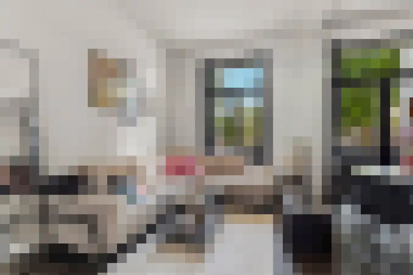 Van Oldenbarneveldtstraat 11 A Arnhem thumbnail 9
