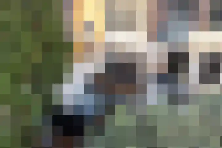Van Oldenbarneveldtstraat 11 B Arnhem thumbnail 18