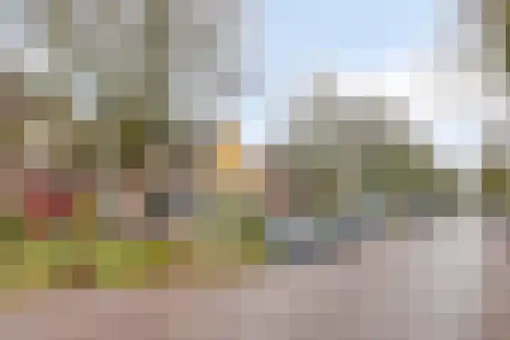 Van Oldenbarneveldtstraat 11 D Arnhem thumbnail 31