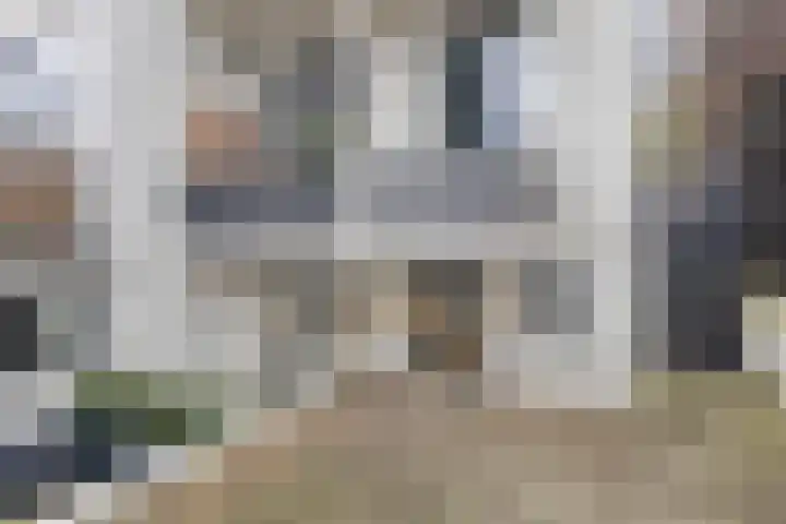 Van Oldenbarneveldtstraat 11 D Arnhem thumbnail 6