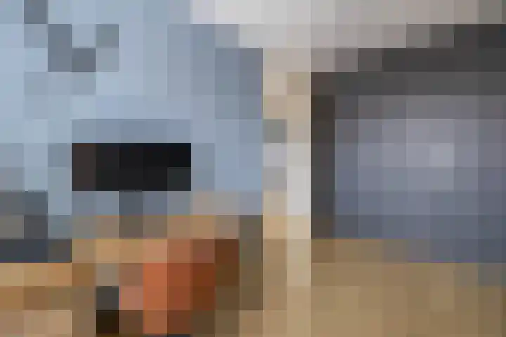 Van Oldenbarneveldtstraat 15 28 Arnhem thumbnail 18