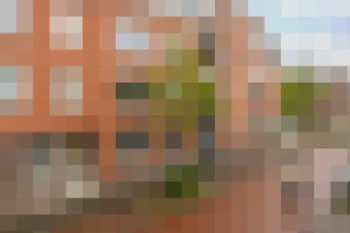 Van Oldenbarneveldtstraat 15 28 Arnhem thumbnail 26