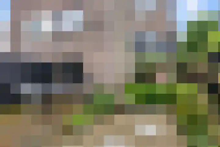 Van Oldenbarneveldtstraat 17 Arnhem thumbnail 31