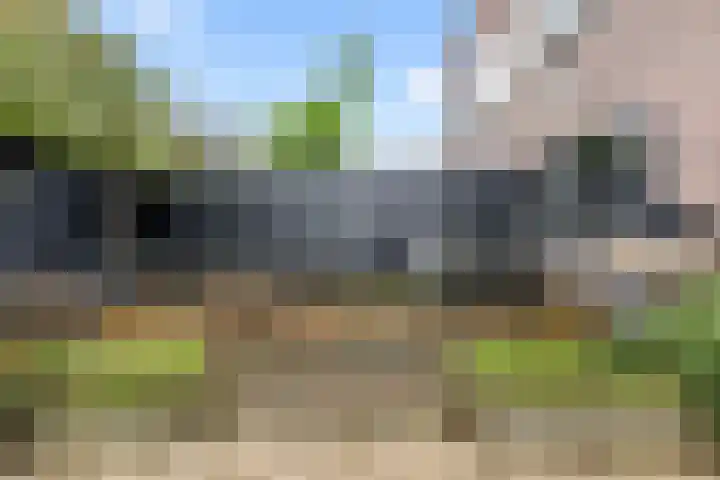 Van Oldenbarneveldtstraat 17 Arnhem thumbnail 34
