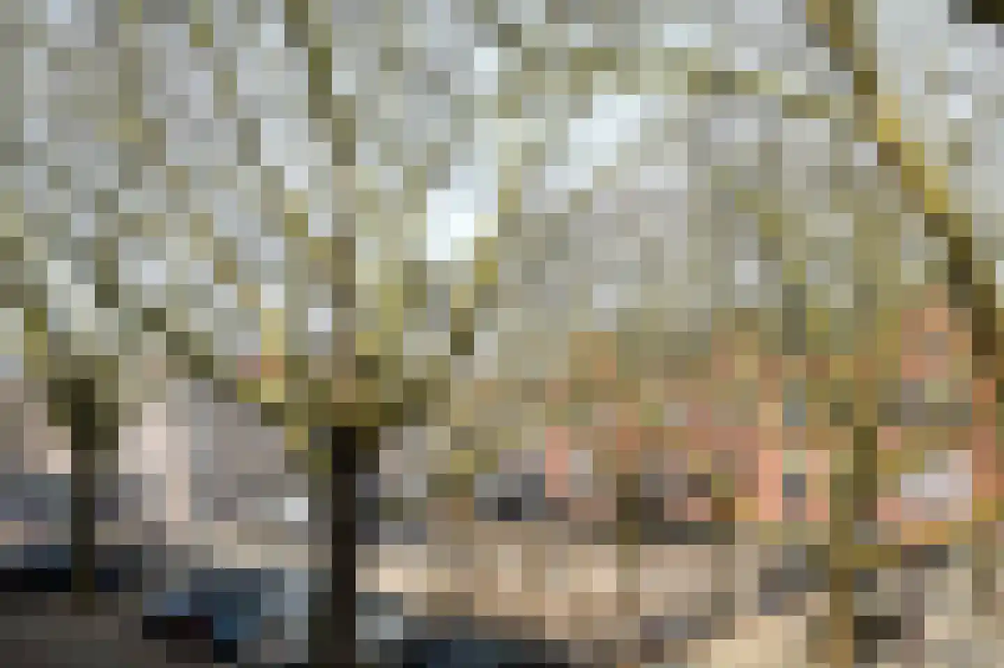 Van Oldenbarneveldtstraat 2 2 Amsterdam thumbnail 20