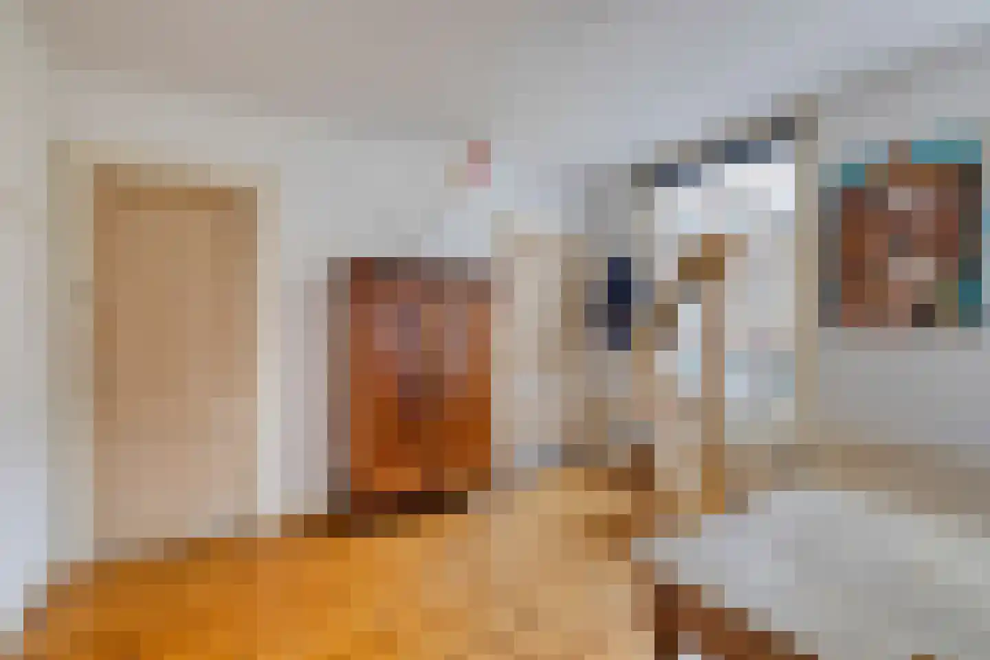 Van Oldenbarneveldtstraat 34 Amsterdam thumbnail 18