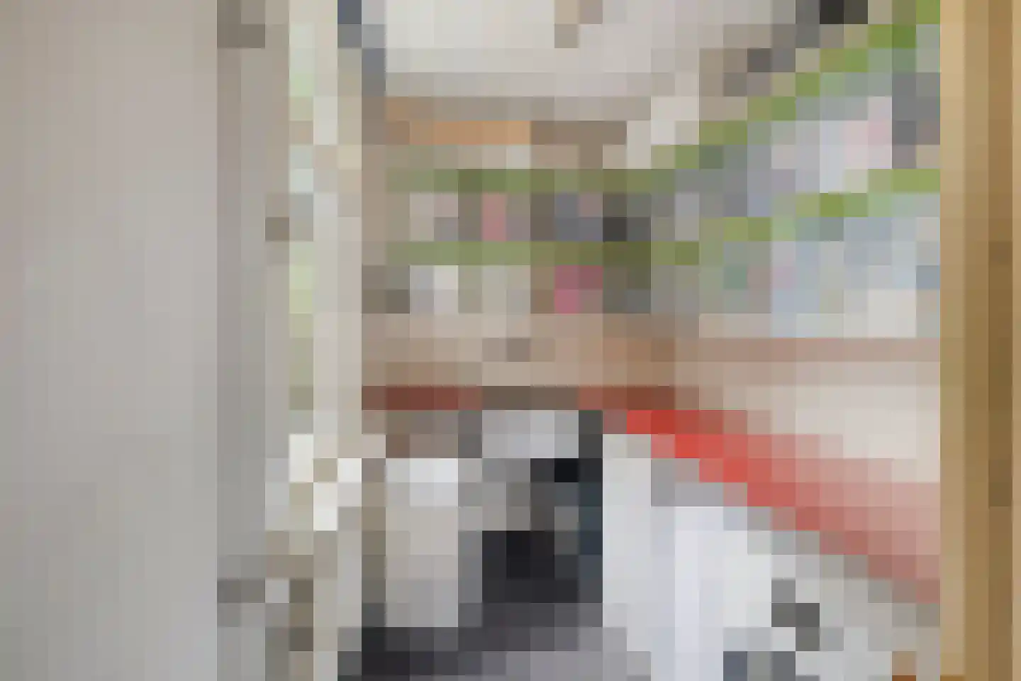 Van Oldenbarneveldtstraat 34 Amsterdam thumbnail 23