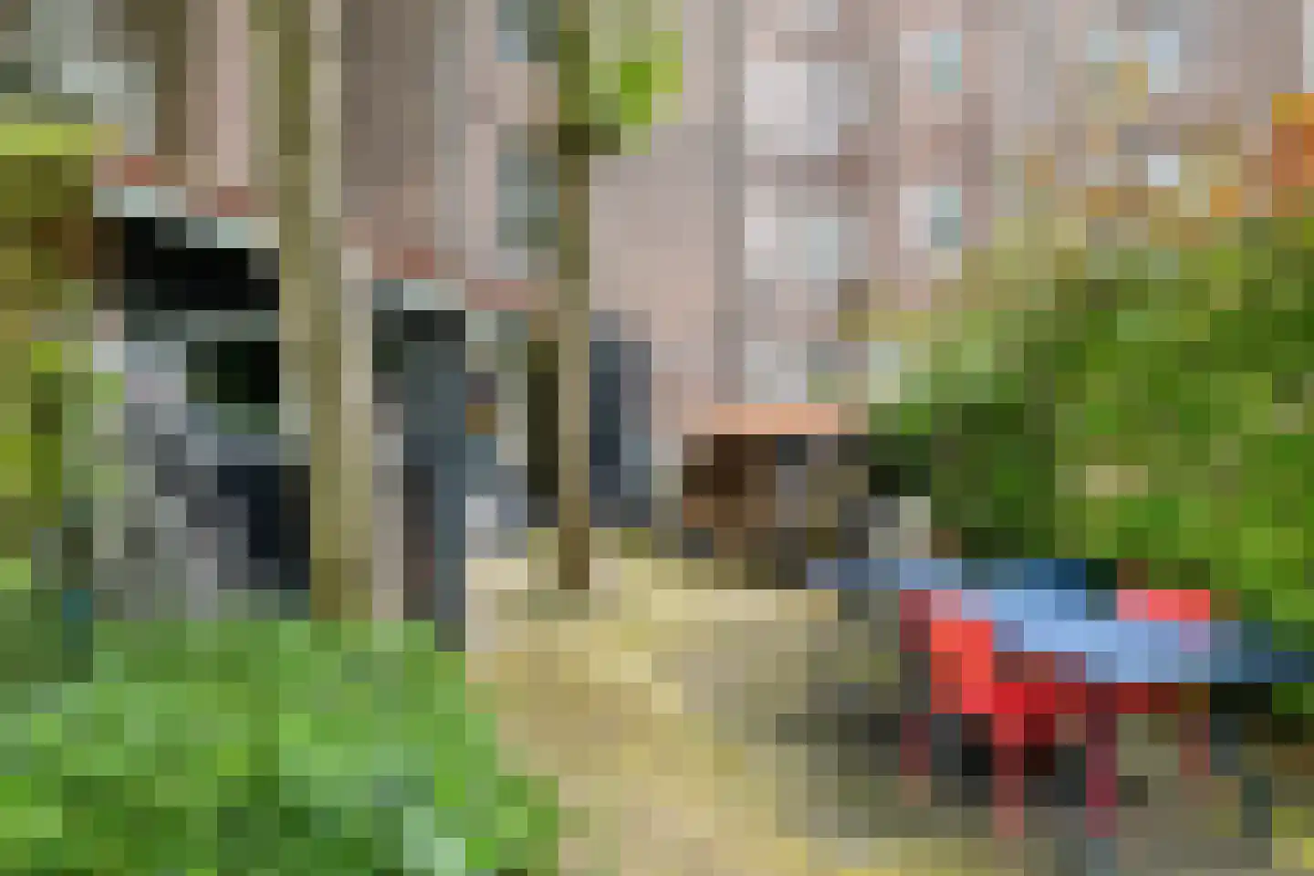 Van Oldenbarneveldtstraat 34 Amsterdam thumbnail 8