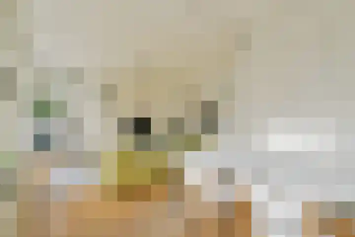 Van Oldenbarneveldtstraat 44 2 Amsterdam thumbnail 7