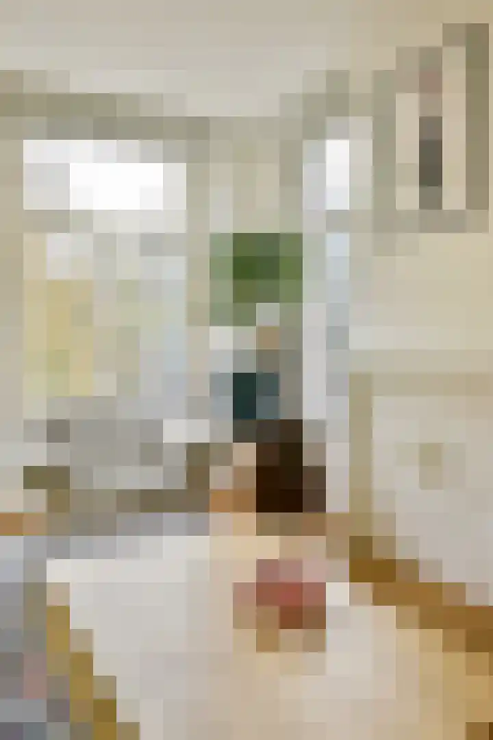 Van Oldenbarneveldtstraat 44 2 Amsterdam thumbnail 8
