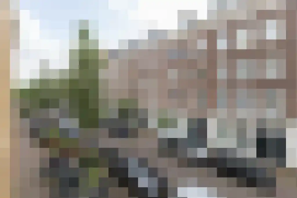 Van Oldenbarneveldtstraat 50 Amsterdam thumbnail 4