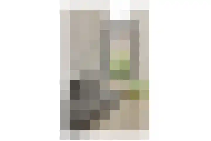 Van Oldenbarneveldtstraat 50 W Amsterdam thumbnail 8