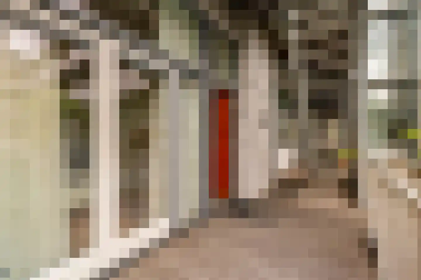 Van Oldenbarneveldtstraat 50 Z Amsterdam thumbnail 15
