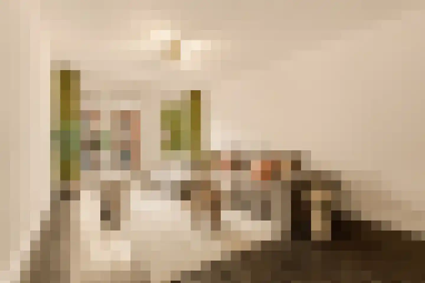 Van Oldenbarneveldtstraat 52 F Amsterdam thumbnail 7