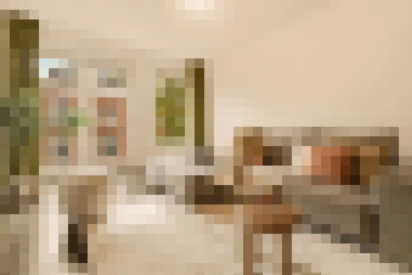 Van Oldenbarneveldtstraat 52 F Amsterdam thumbnail 8