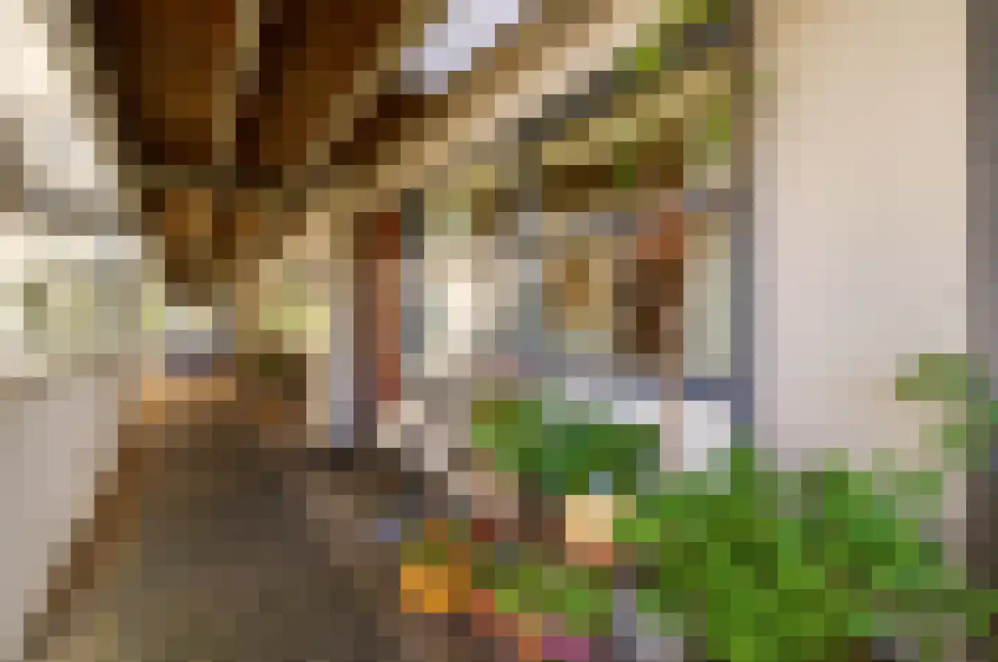 Van Oldenbarneveldtstraat 52 H Amsterdam thumbnail 21