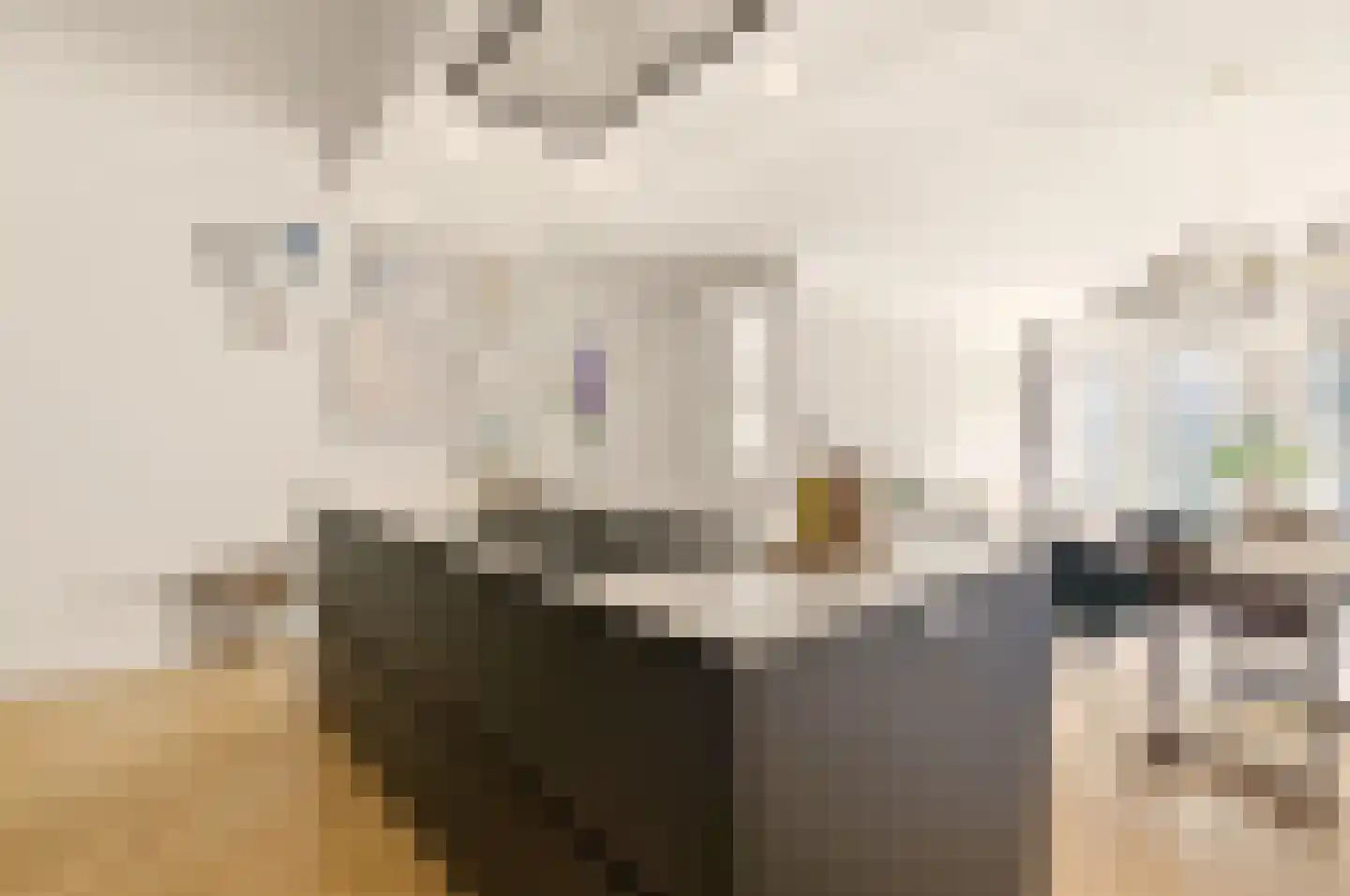 Van Oldenbarneveldtstraat 52 H Amsterdam thumbnail 8