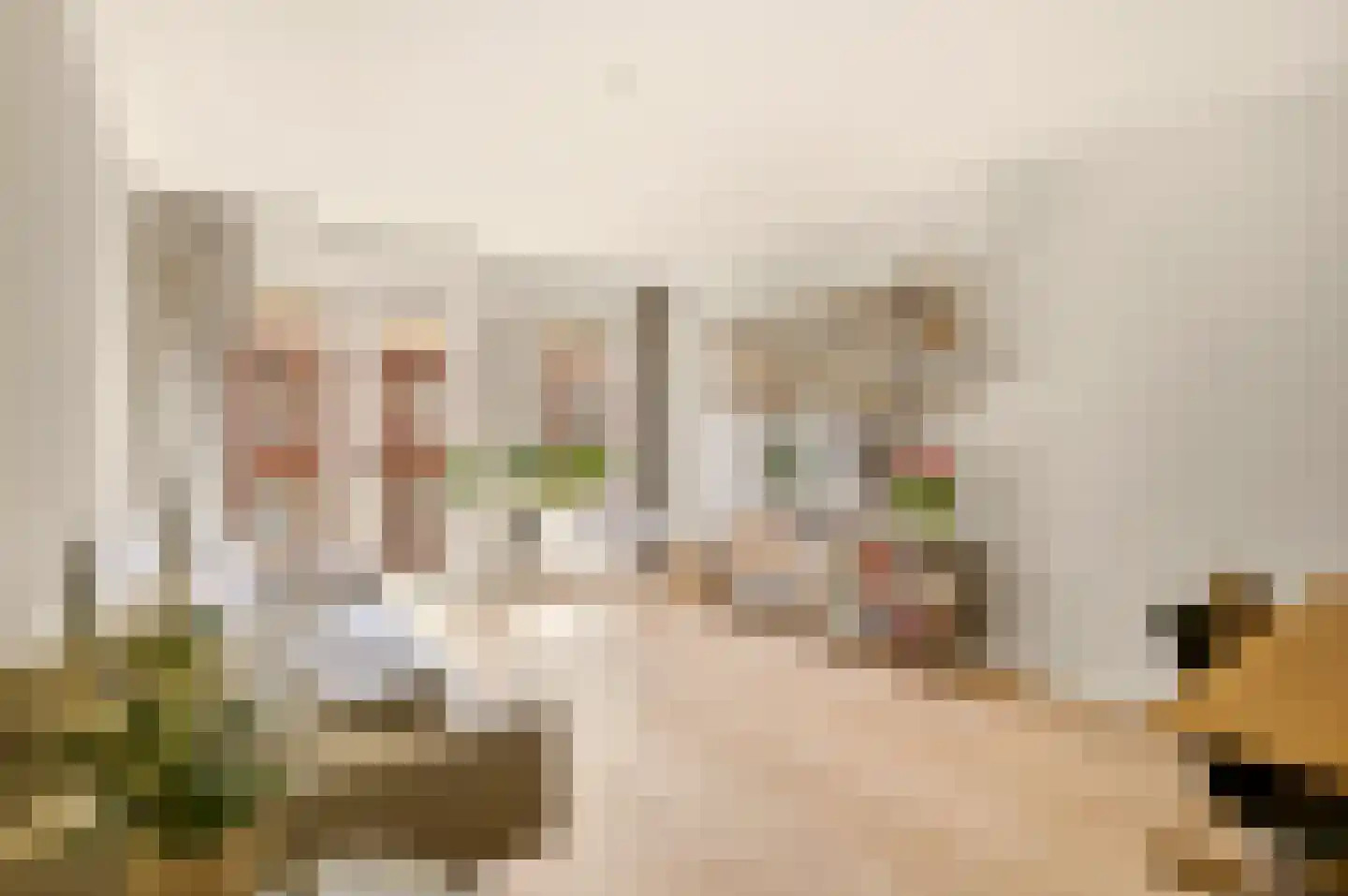Van Oldenbarneveldtstraat 52 H Amsterdam thumbnail 9