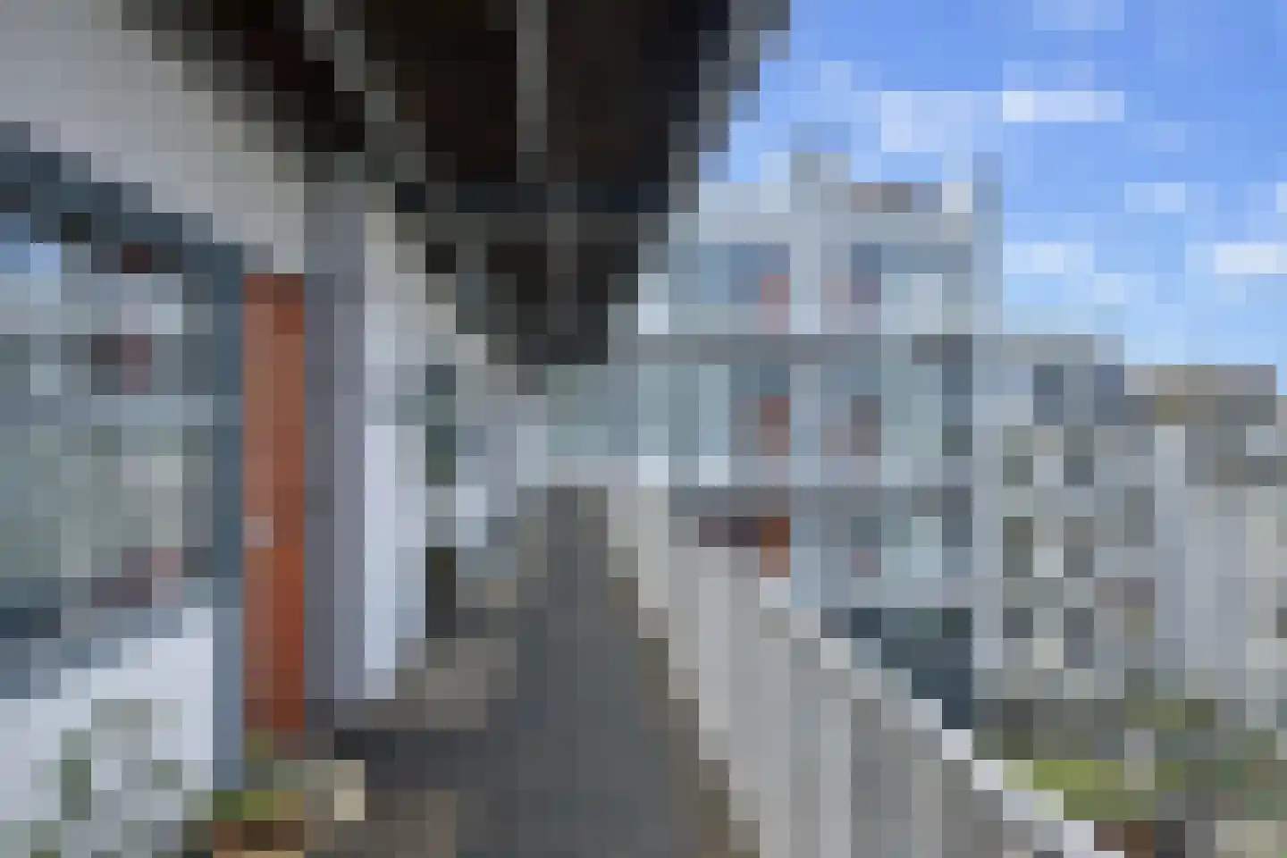 Van Oldenbarneveldtstraat 54 T Amsterdam thumbnail 25