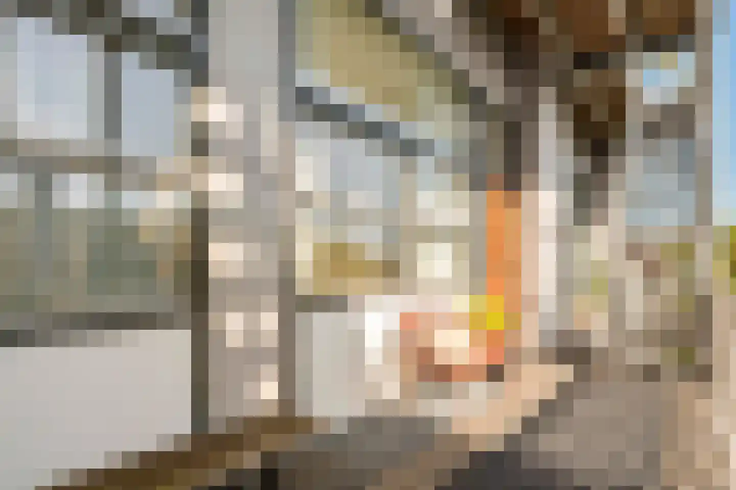 Van Oldenbarneveldtstraat 54 T Amsterdam thumbnail 34