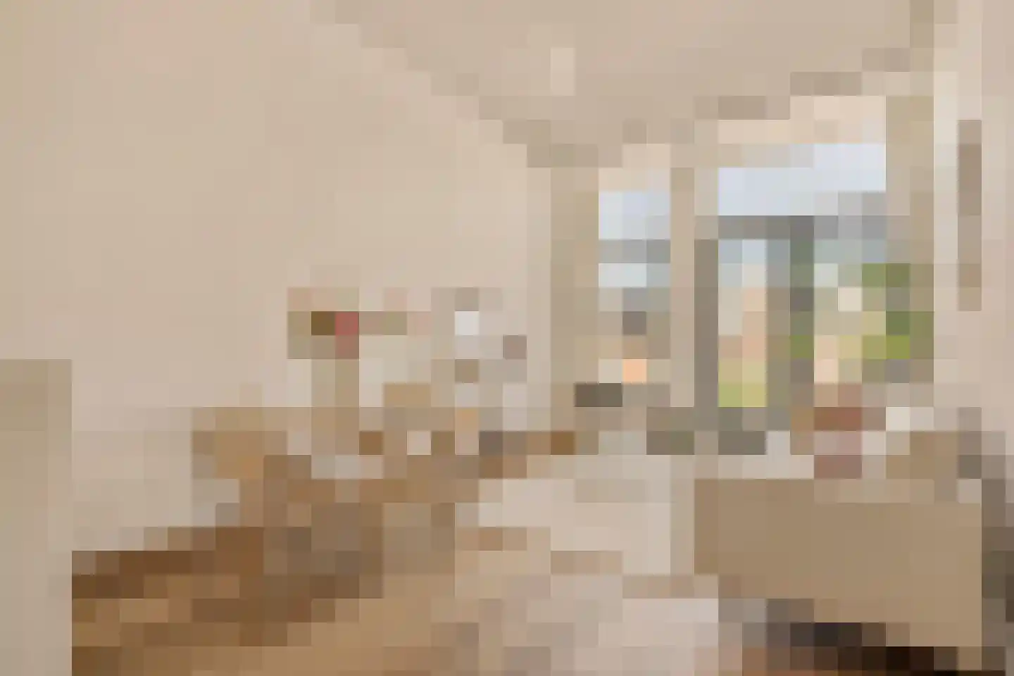 Van Oldenbarneveldtstraat 54 T Amsterdam thumbnail 9