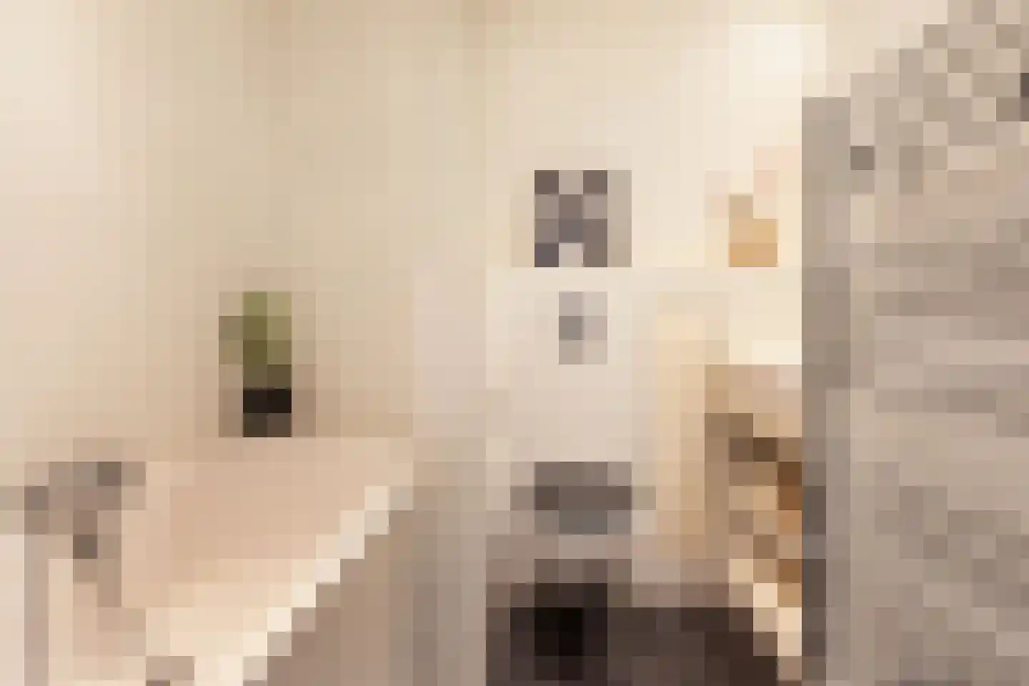 Van Oldenbarneveldtstraat 58 4 Amsterdam thumbnail 6