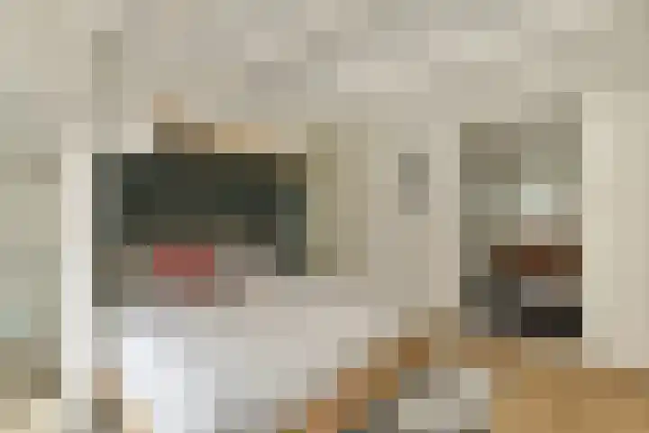 Van Oldenbarneveldtstraat 6 1 Amsterdam thumbnail 19